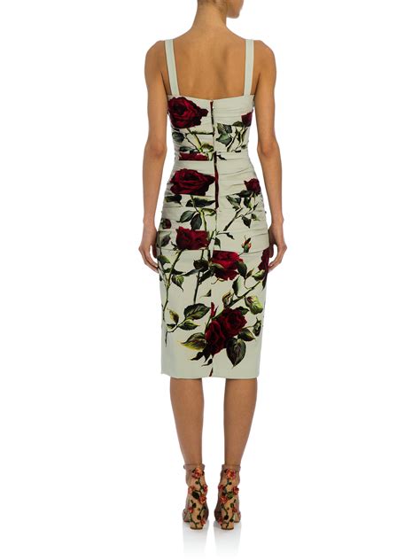 dolce gabbana rose print long dress|dolce gabbana red rose dress.